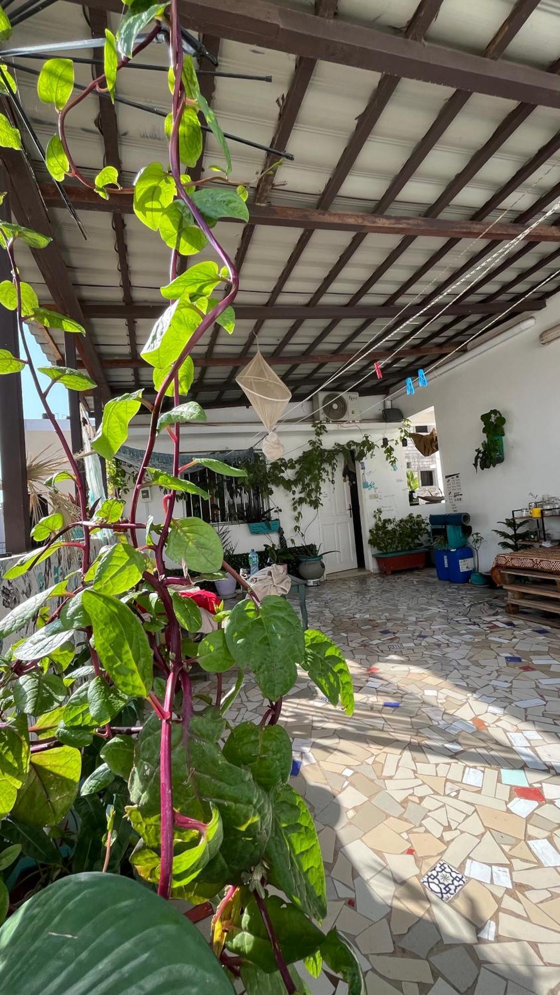 Dar Dyali Rooftop ⁿᵉᵃʳ ⁿᵍᵒʳ ᵇᵉᵃᶜʰ ᵃⁿᵈ ⁱˢˡᵃⁿᵈ Dakar Kültér fotó