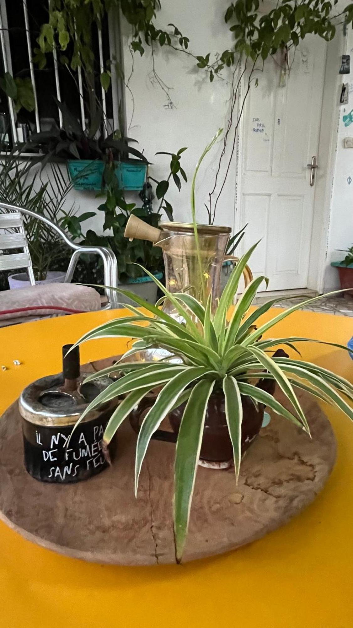 Dar Dyali Rooftop ⁿᵉᵃʳ ⁿᵍᵒʳ ᵇᵉᵃᶜʰ ᵃⁿᵈ ⁱˢˡᵃⁿᵈ Dakar Kültér fotó